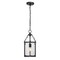 Z-Lite Barrington Pendant, 1-Light, 8.25 In.W x 17.5 In.H, Matte Black/Clear Waterglass 346P8-MB - alternate 1